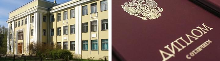 высшее образование